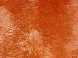 Оранжевый овчина четырехшкурная ORANGE 04SS 2001