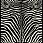 Ковер  AVANT-GARDE  ZEBRA